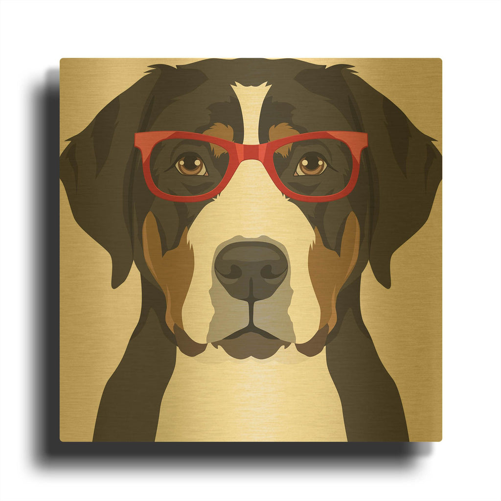 'Greater Swiss Mountain Dog Wearing Hipster Glasses' By Furbaby Affiliates Gold Metal Wall Art