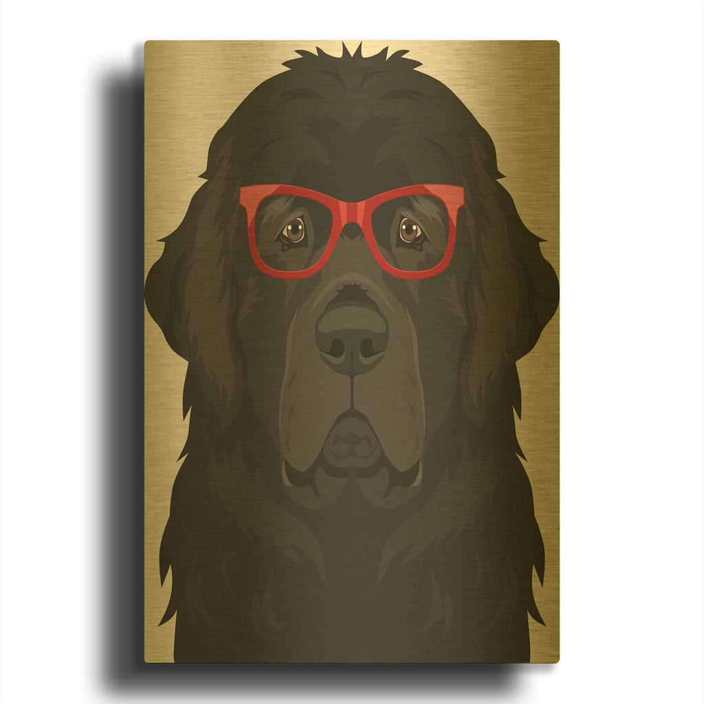 'Newfoundland Wearing Hipster Glasses' By Furbaby Affiliates Gold Metal Wall Art