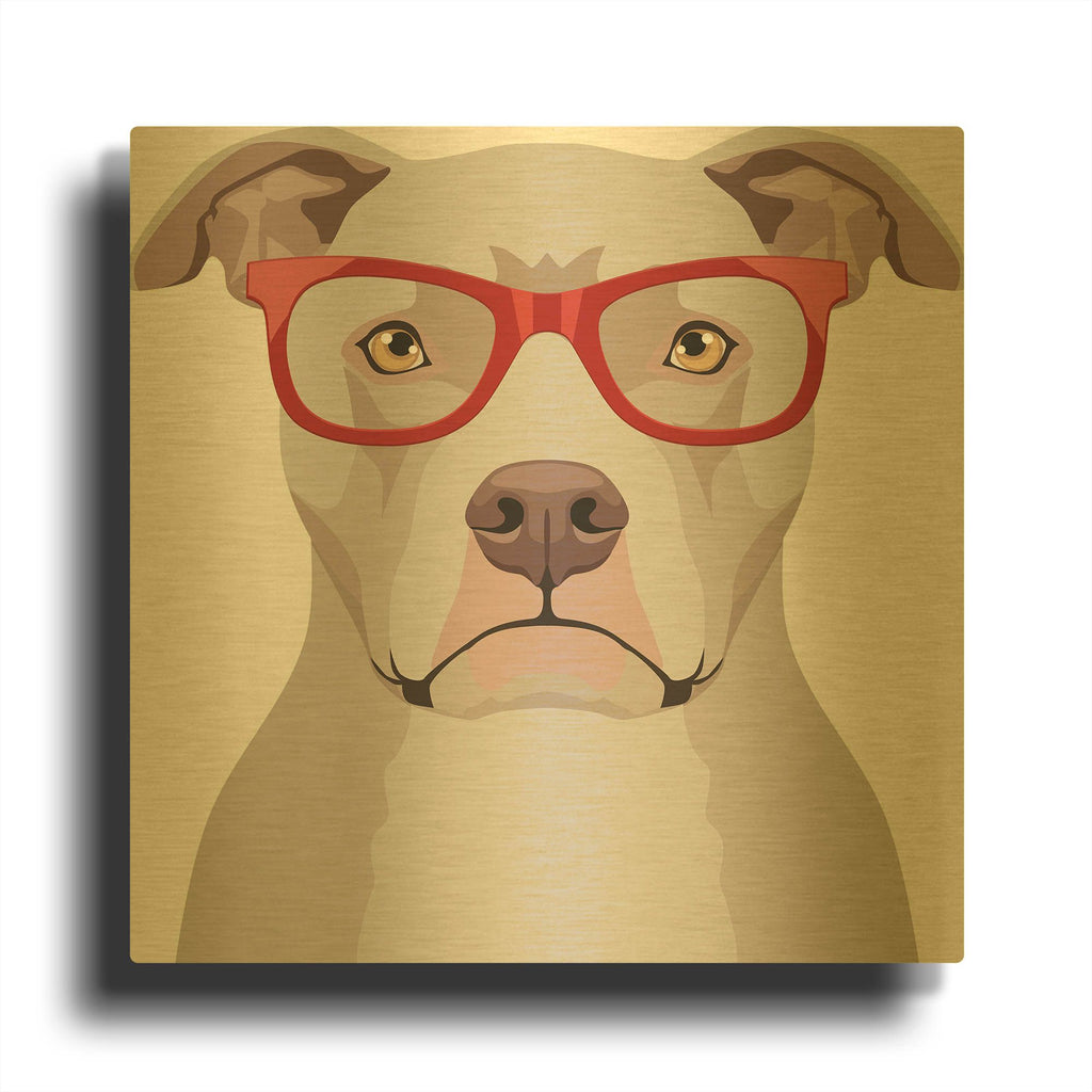 'Pitbull Wearing Hipster Glasses' By Furbaby Affiliates Gold Metal Wall Art