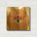 'Pomeranian Wearing Hipster Glasses' By Furbaby Affiliates Gold Metal Wall Art
