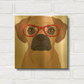 'Puggle Wearing Hipster Glasses' By Furbaby Affiliates Gold Metal Wall Art