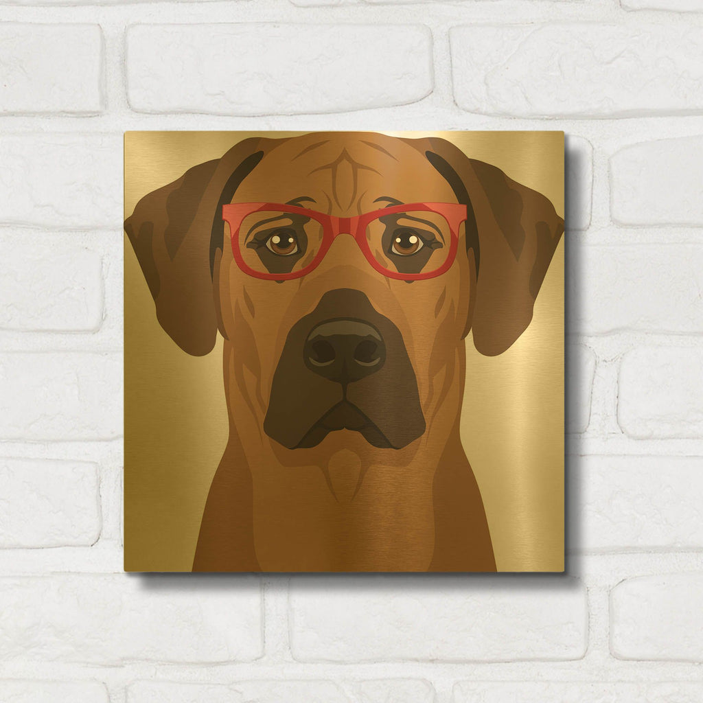 'Rhodesian Ridgeback Wearing Hipster Glasses' By Furbaby Affiliates Gold Metal Wall Art