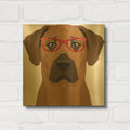 'Rhodesian Ridgeback Wearing Hipster Glasses' By Furbaby Affiliates Gold Metal Wall Art