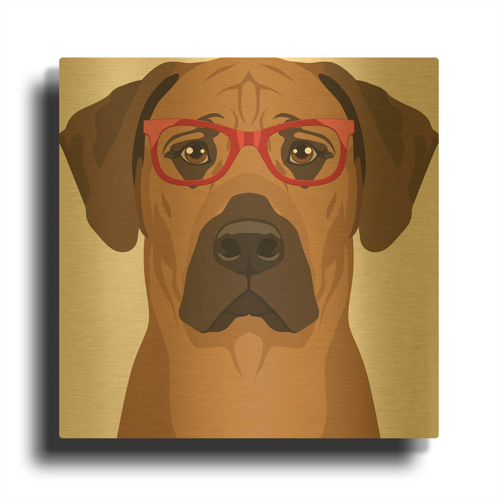 'Rhodesian Ridgeback Wearing Hipster Glasses' By Furbaby Affiliates Gold Metal Wall Art