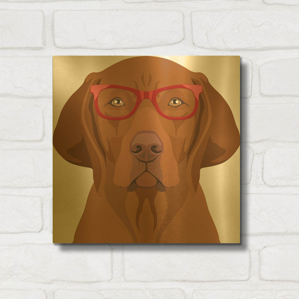 'Vizsla Wearing Hipster Glasses 2' By Furbaby Affiliates Gold Metal Wall Art