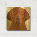 'Vizsla Wearing Hipster Glasses 2' By Furbaby Affiliates Gold Metal Wall Art