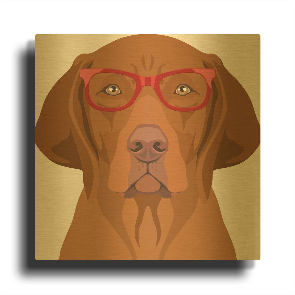 'Vizsla Wearing Hipster Glasses 2' By Furbaby Affiliates Gold Metal Wall Art