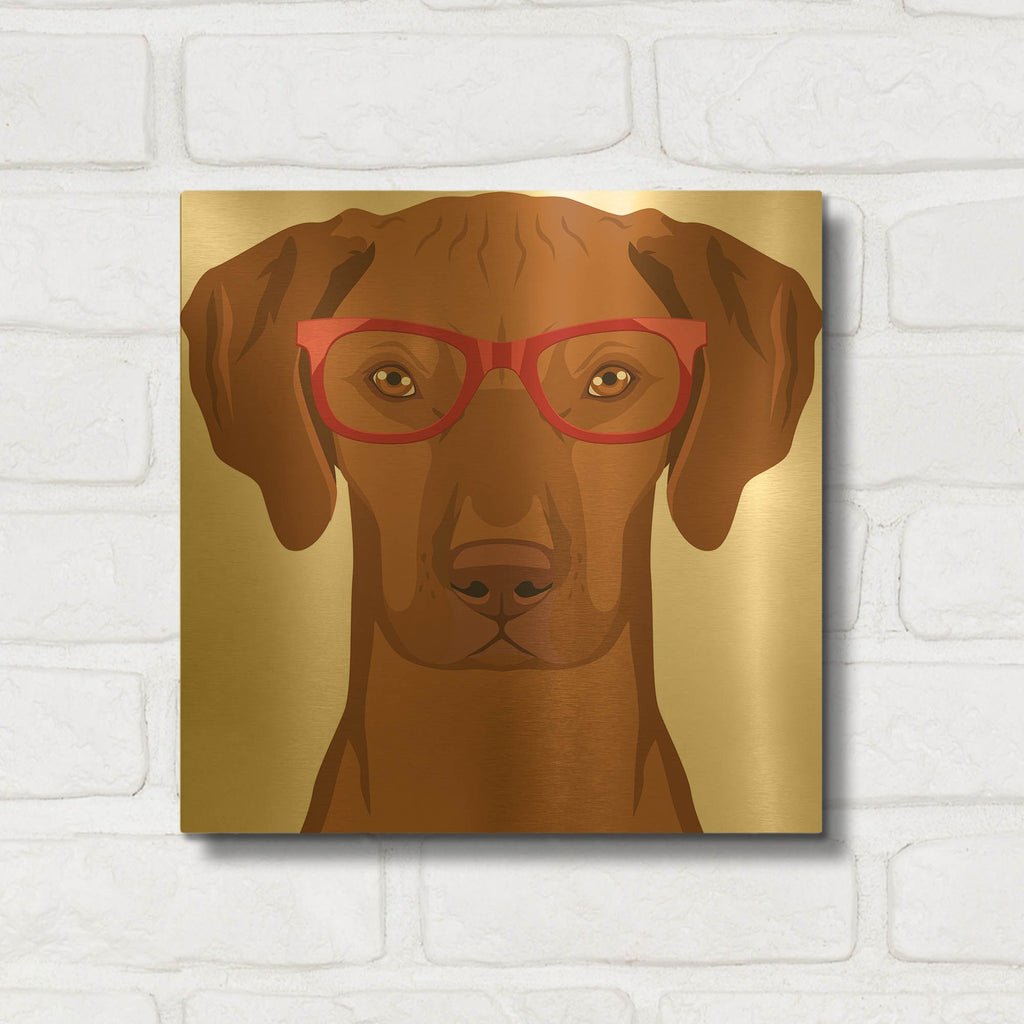 'Vizsla Wearing Hipster Glasses' By Furbaby Affiliates Gold Metal Wall Art
