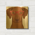 'Vizsla Wearing Hipster Glasses' By Furbaby Affiliates Gold Metal Wall Art