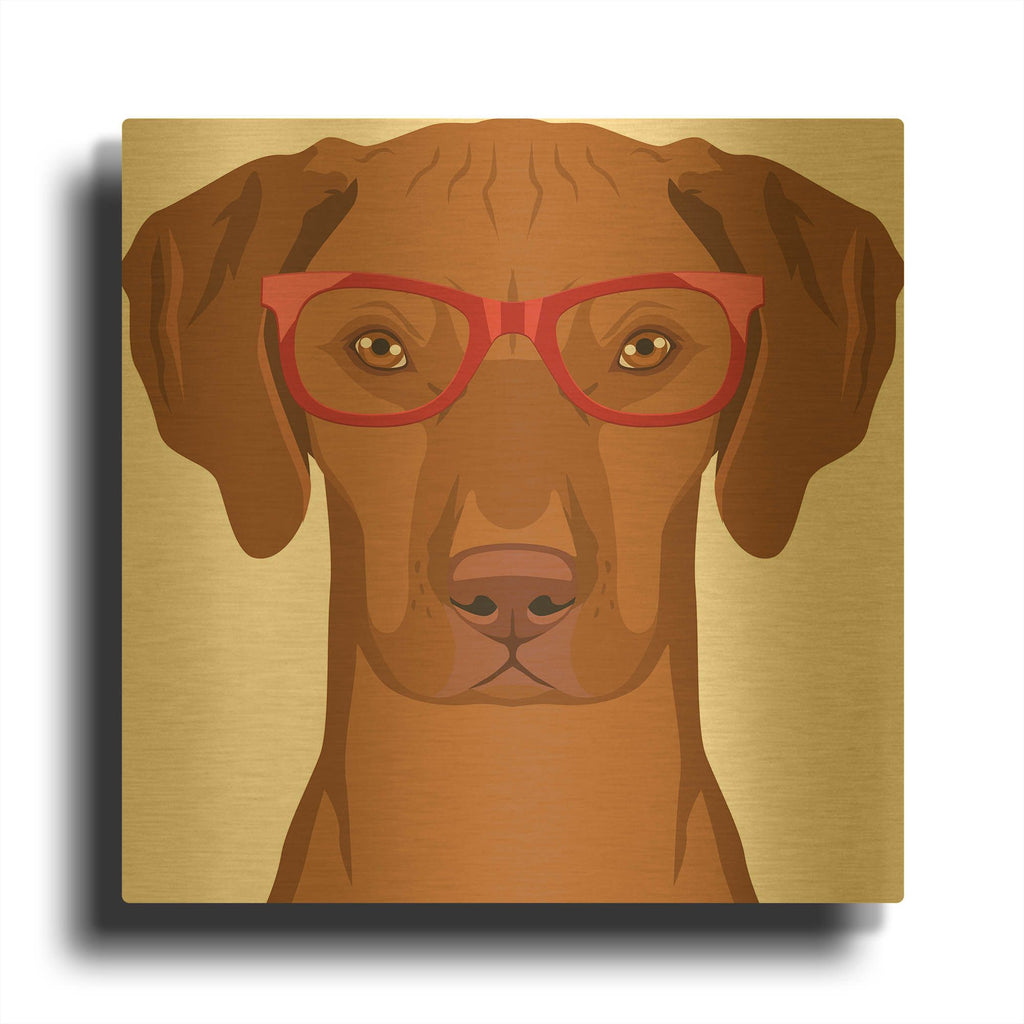 'Vizsla Wearing Hipster Glasses' By Furbaby Affiliates Gold Metal Wall Art