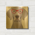 'Weimaraner Wearing Hipster Glasses 1' By Furbaby Affiliates Gold Metal Wall Art