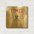 'Weimaraner Wearing Hipster Glasses 2' By Furbaby Affiliates Gold Metal Wall Art