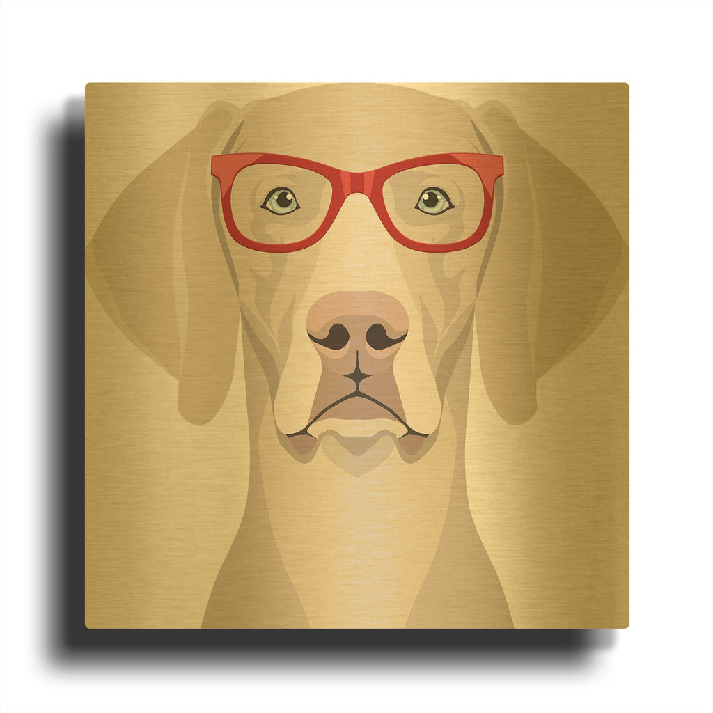 'Weimaraner Wearing Hipster Glasses 2' By Furbaby Affiliates Gold Metal Wall Art