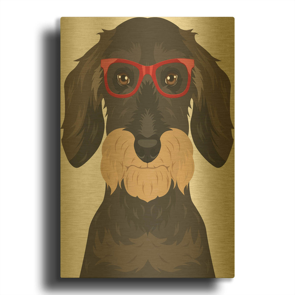 'Wire Haired Dachshund Wearing Hipster Glasses' By Furbaby Affiliates Gold Metal Wall Art