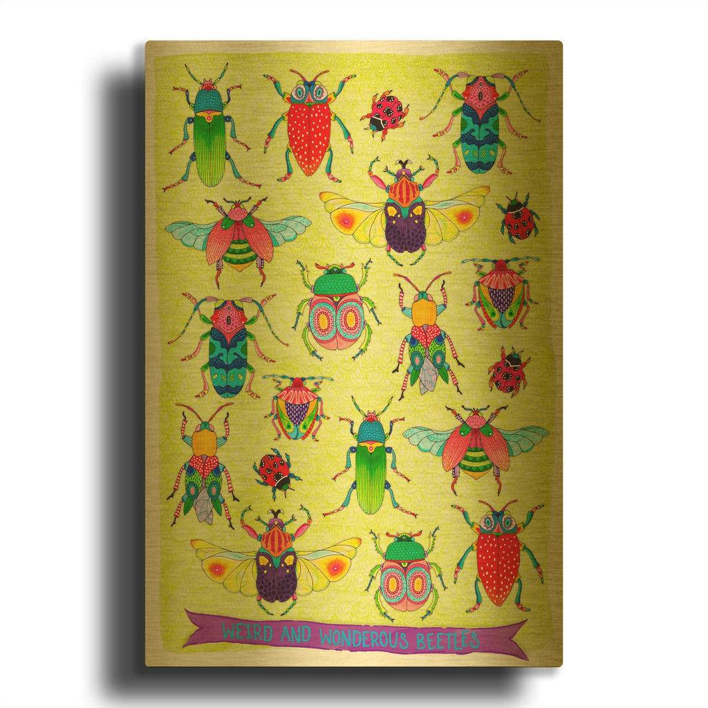 'Weird And Wonderous Beetles Mounted' By Hello Angel Gold Metal Wall Art