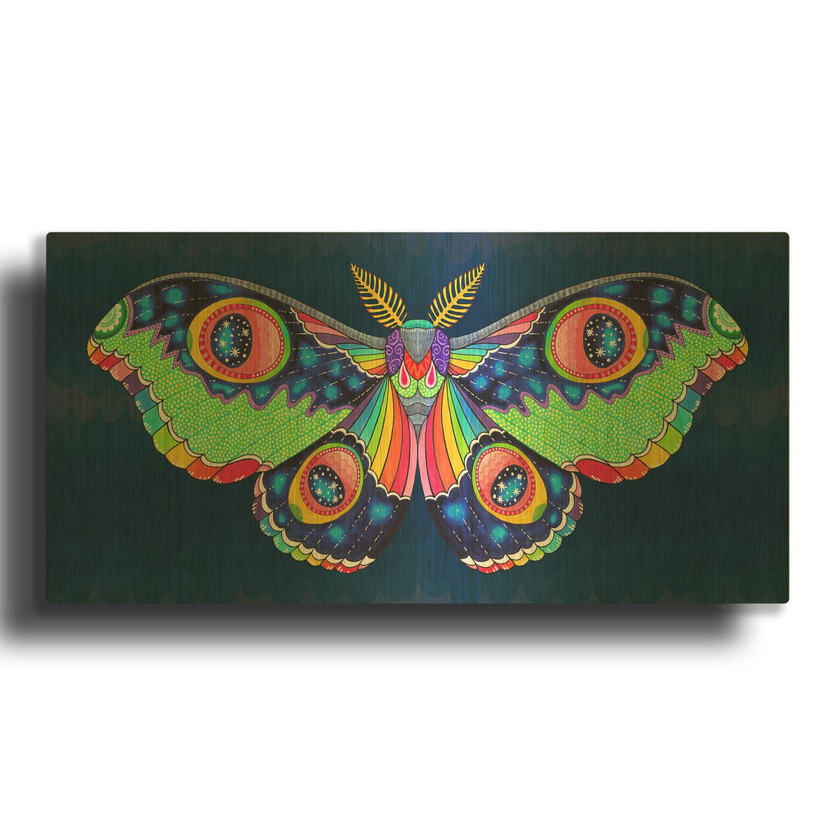 'Midnight Rainbow Moth' By Hello Angel Gold Metal Wall Art