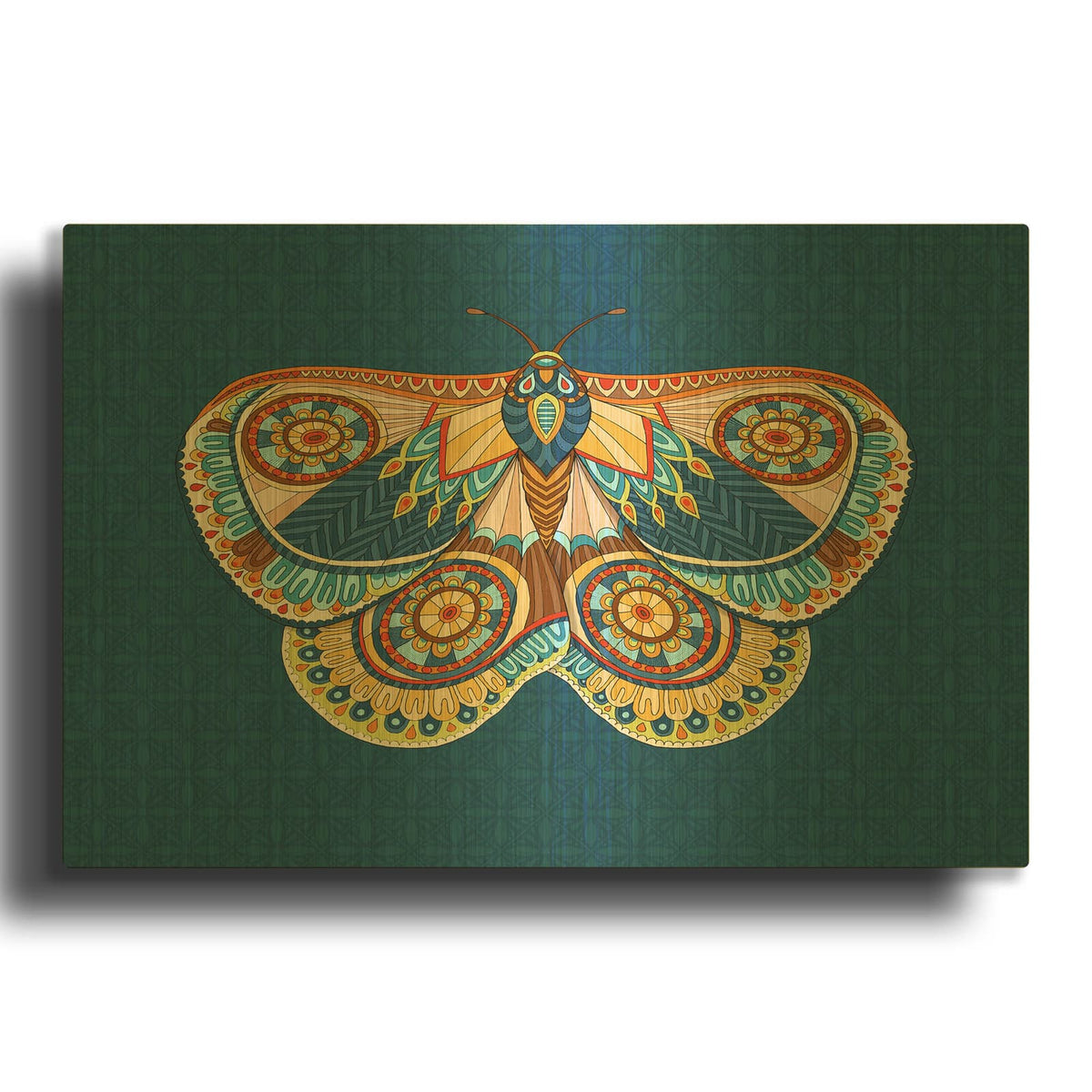 'Winter Moth' By Hello Angel Gold Metal Wall Art