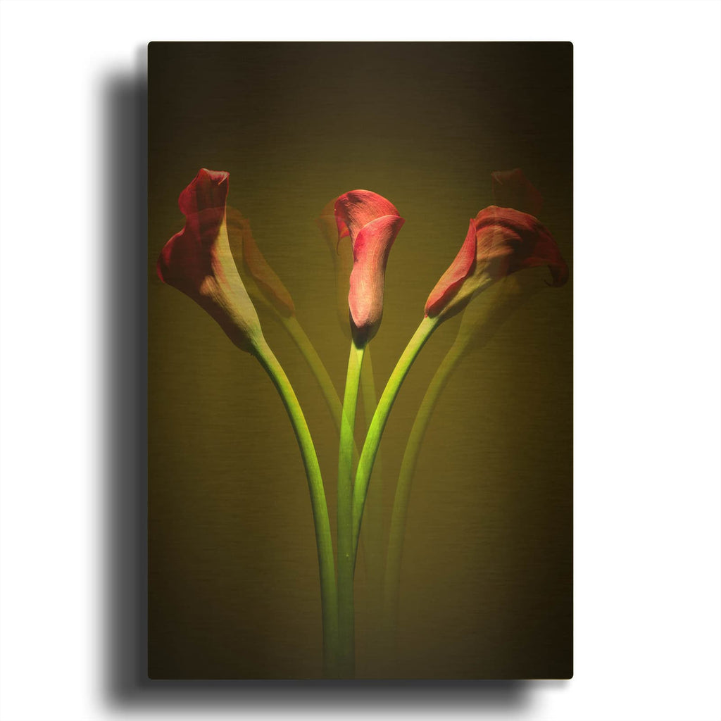 'Cala Lilies 1' By Mark Ashkenazi Gold Metal Wall Art