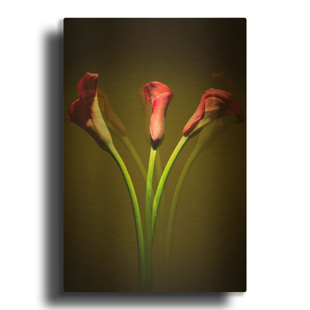 'Cala Lilies 1' By Mark Ashkenazi Gold Metal Wall Art