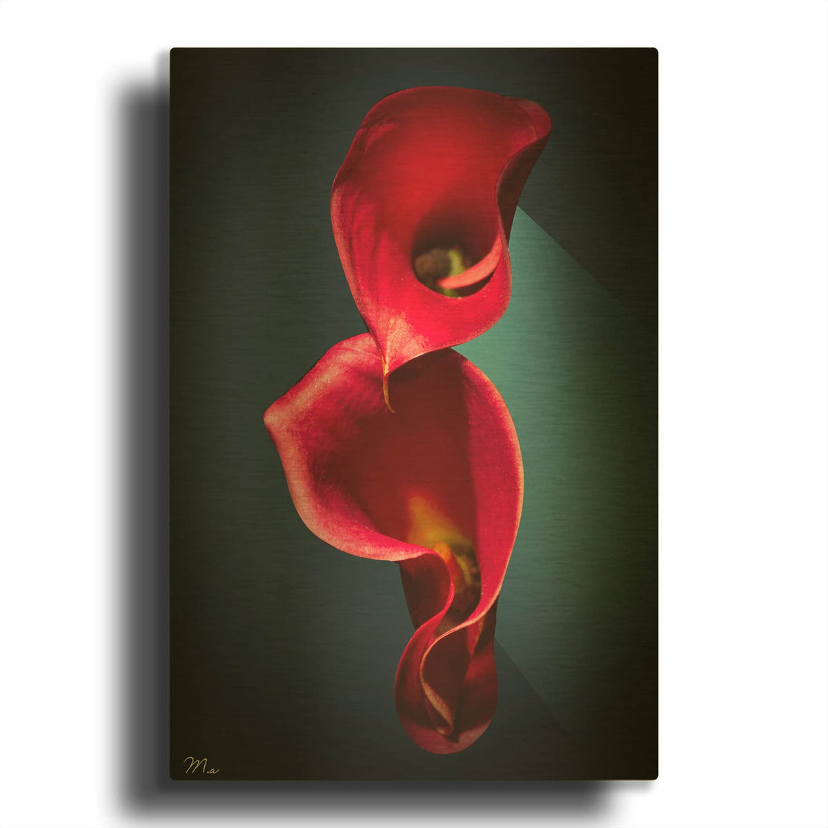 'Cala Lilies 2' By Mark Ashkenazi Gold Metal Wall Art