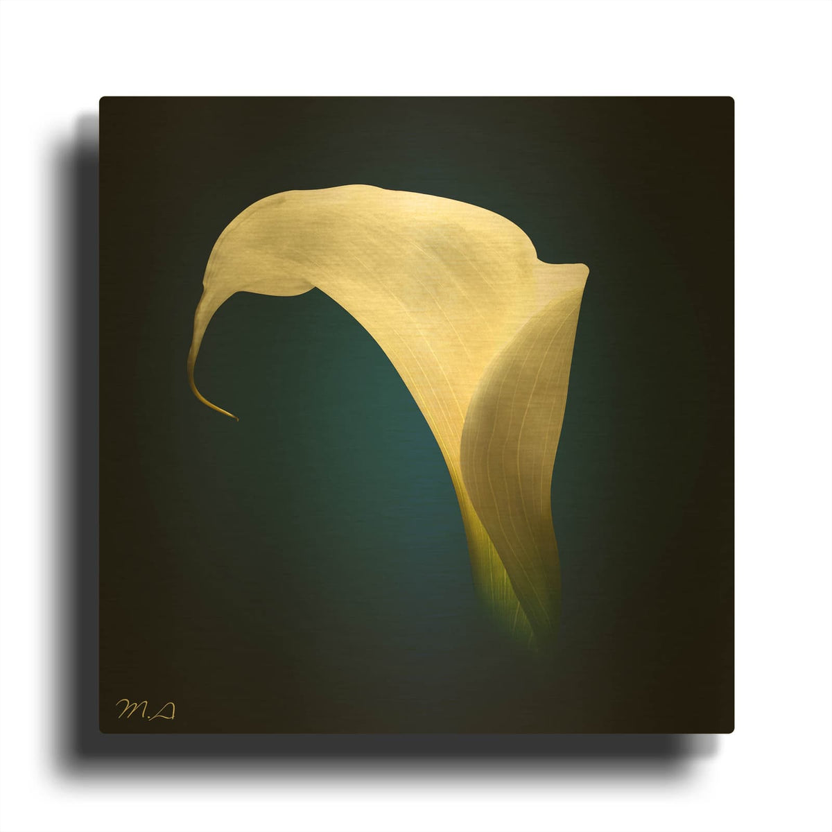 'Cala Lily 1' By Mark Ashkenazi Gold Metal Wall Art