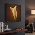 MGLD-47389-1212-LS3 room view