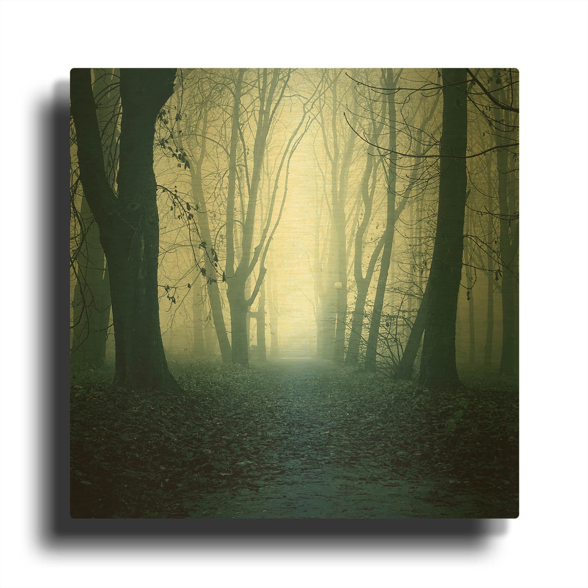 'Forest' By Mark Ashkenazi Gold Metal Wall Art