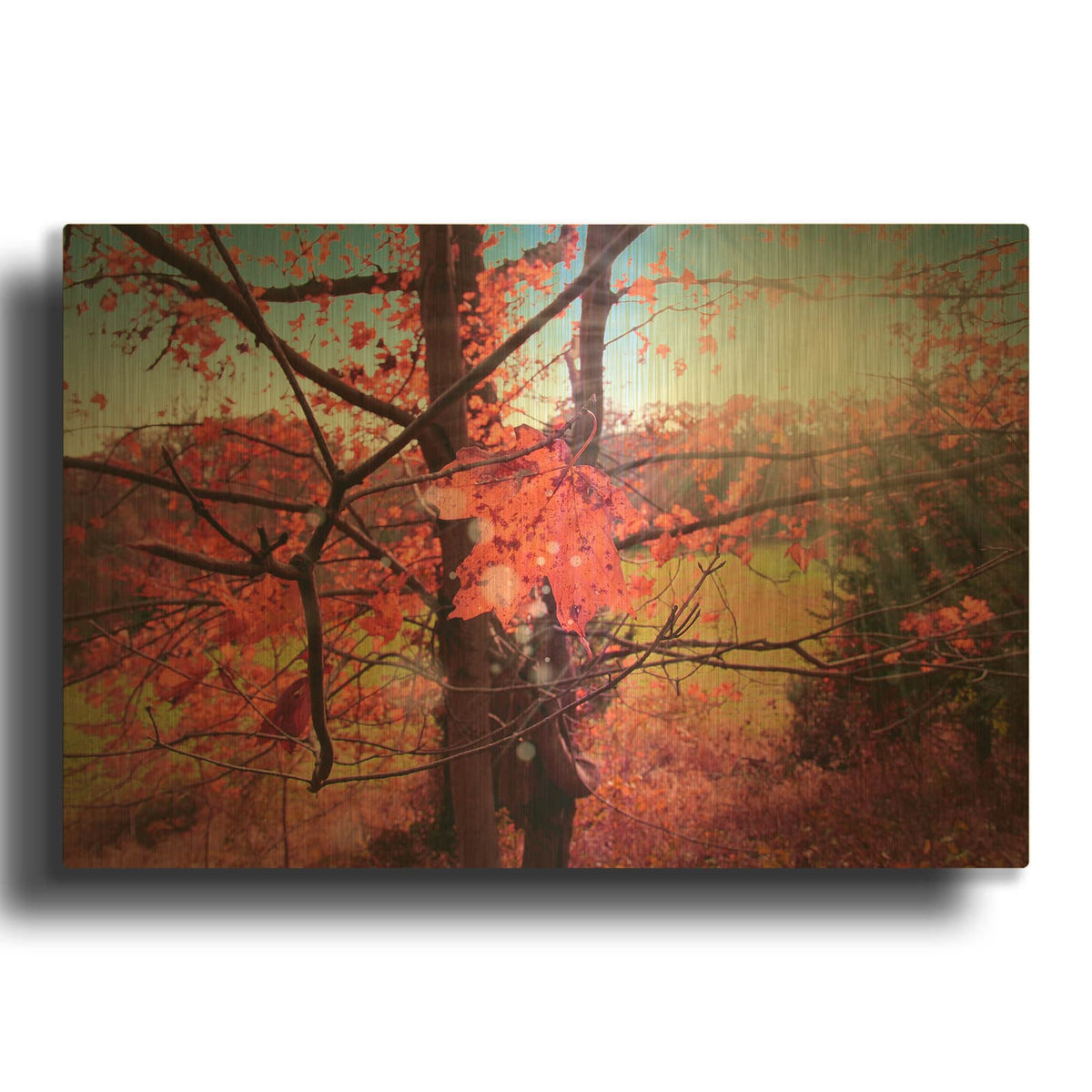 'Fall Forest' By Mark Ashkenazi Gold Metal Wall Art