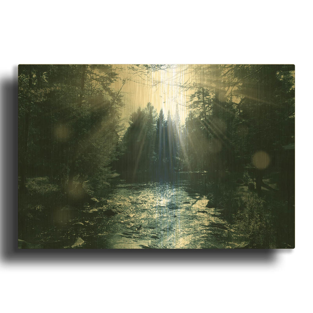 'Deep Forest 4' By Mark Ashkenazi Gold Metal Wall Art
