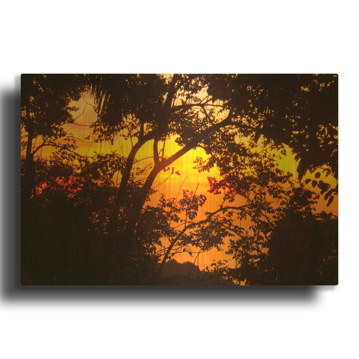 'Deep Forest Sunset' By Mark Ashkenazi Gold Metal Wall Art