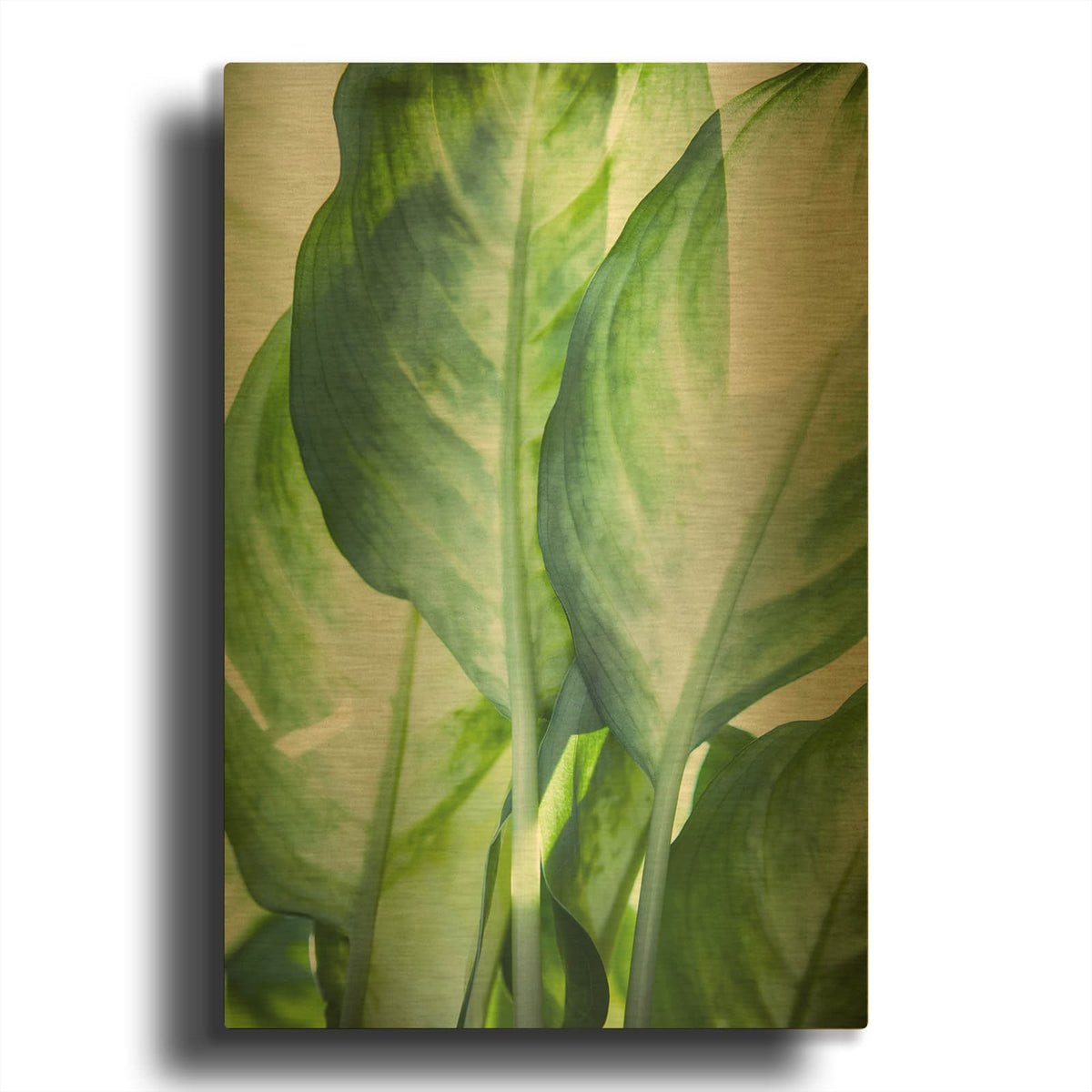 'Tropic Abstract' By Mark Ashkenazi Gold Metal Wall Art