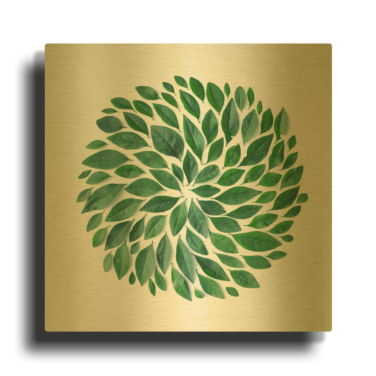 'Tropic Star' By Mark Ashkenazi Gold Metal Wall Art