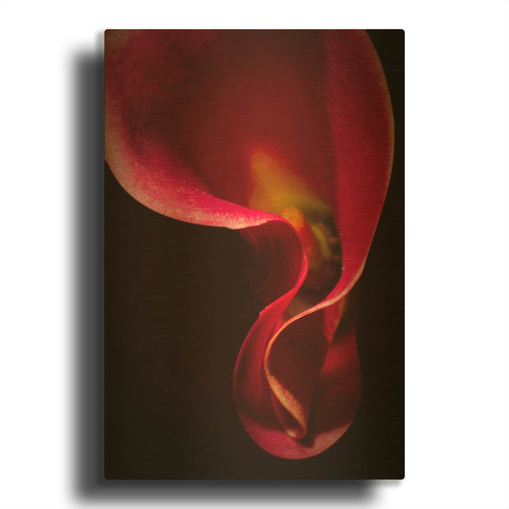'Red Flower' By Mark Ashkenazi Gold Metal Wall Art