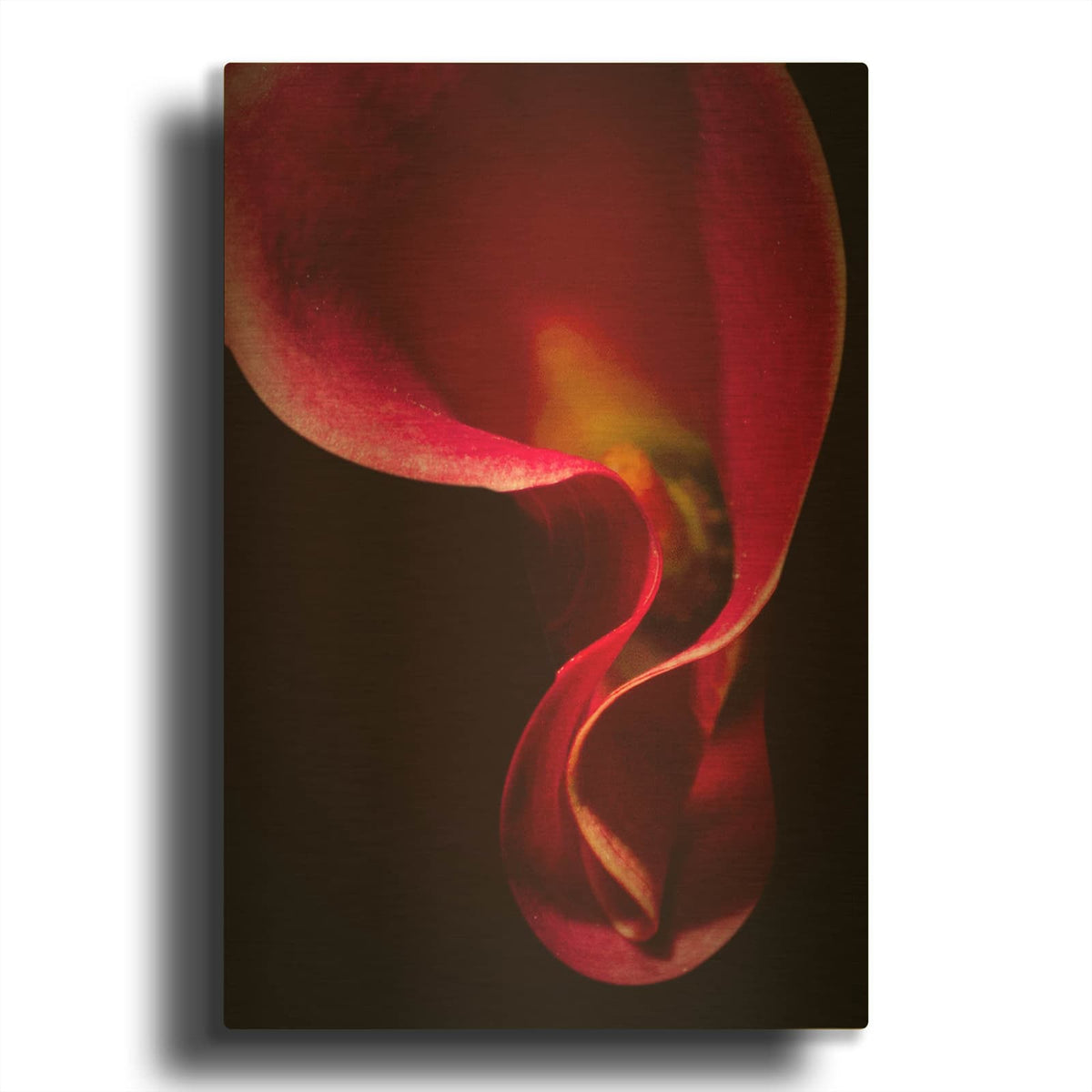 'Red Flower' By Mark Ashkenazi Gold Metal Wall Art