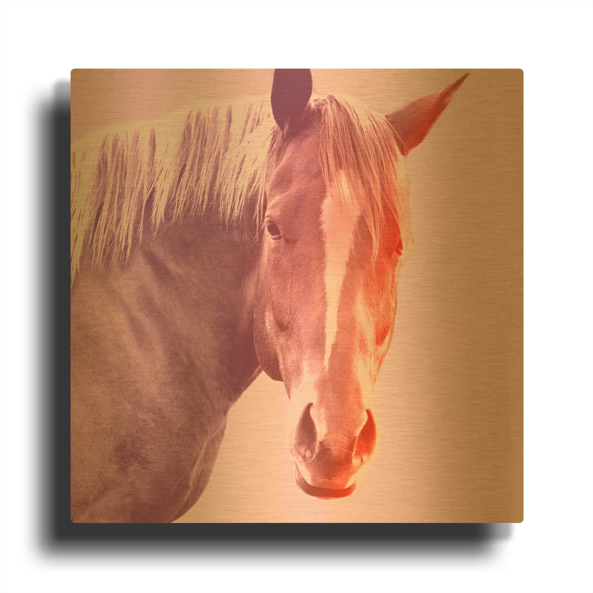 'Horse' By Mark Ashkenazi Gold Metal Wall Art