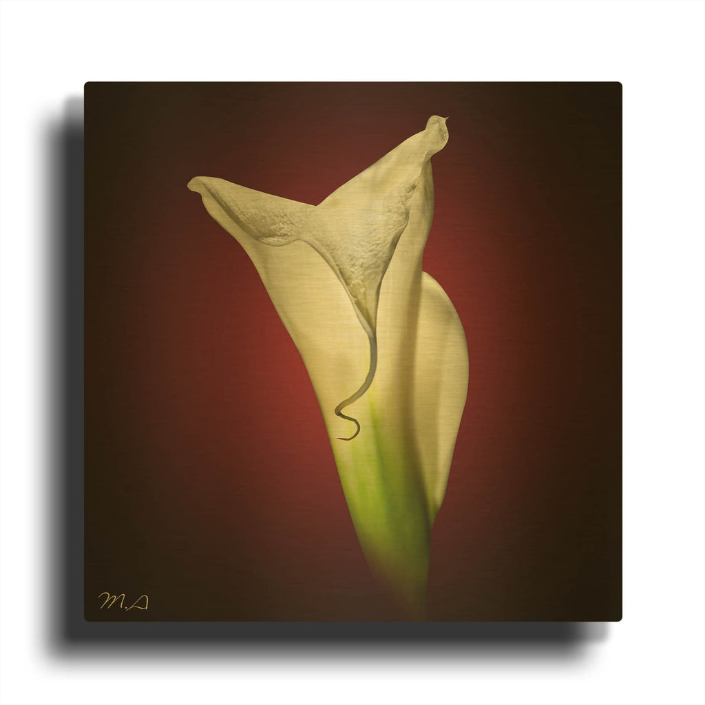 'Flower' By Mark Ashkenazi Gold Metal Wall Art