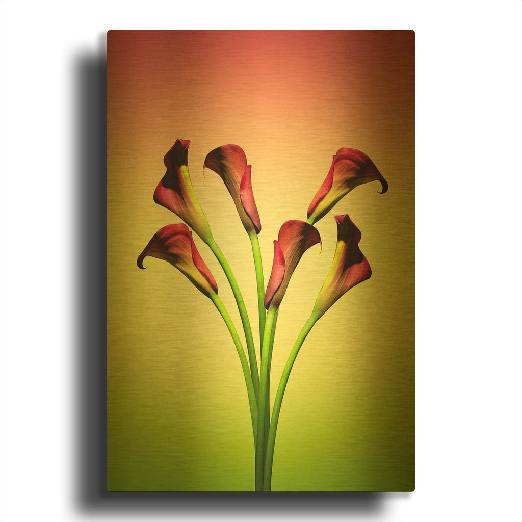 'Modern Bouquet' By Mark Ashkenazi Gold Metal Wall Art