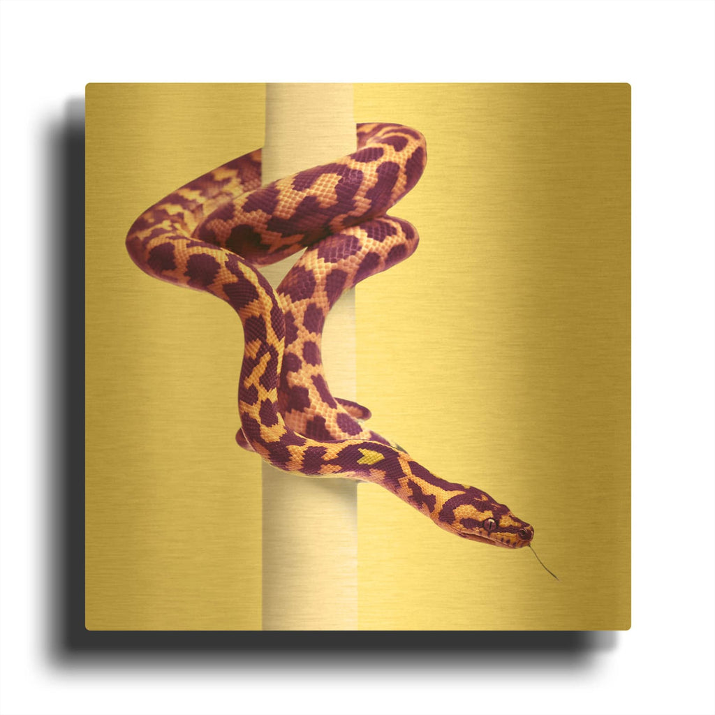 'Sneck 2' By Mark Ashkenazi Gold Metal Wall Art