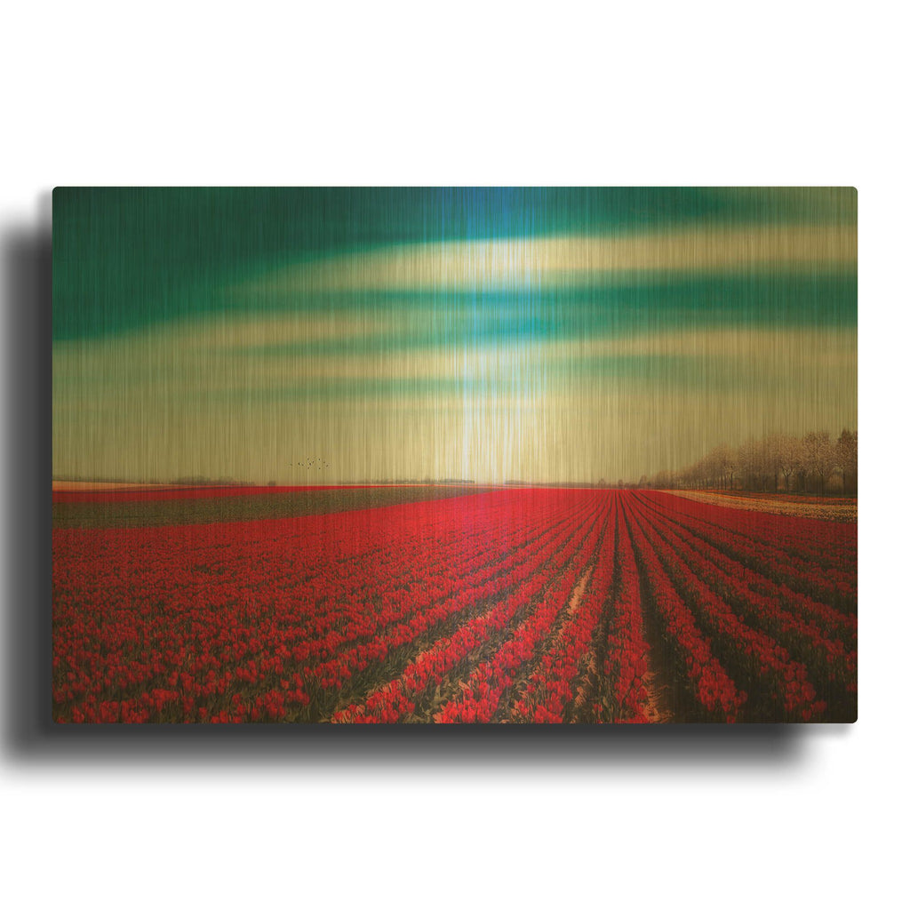 'Tulips' By Dirk Wustenhagen Gold Metal Wall Art