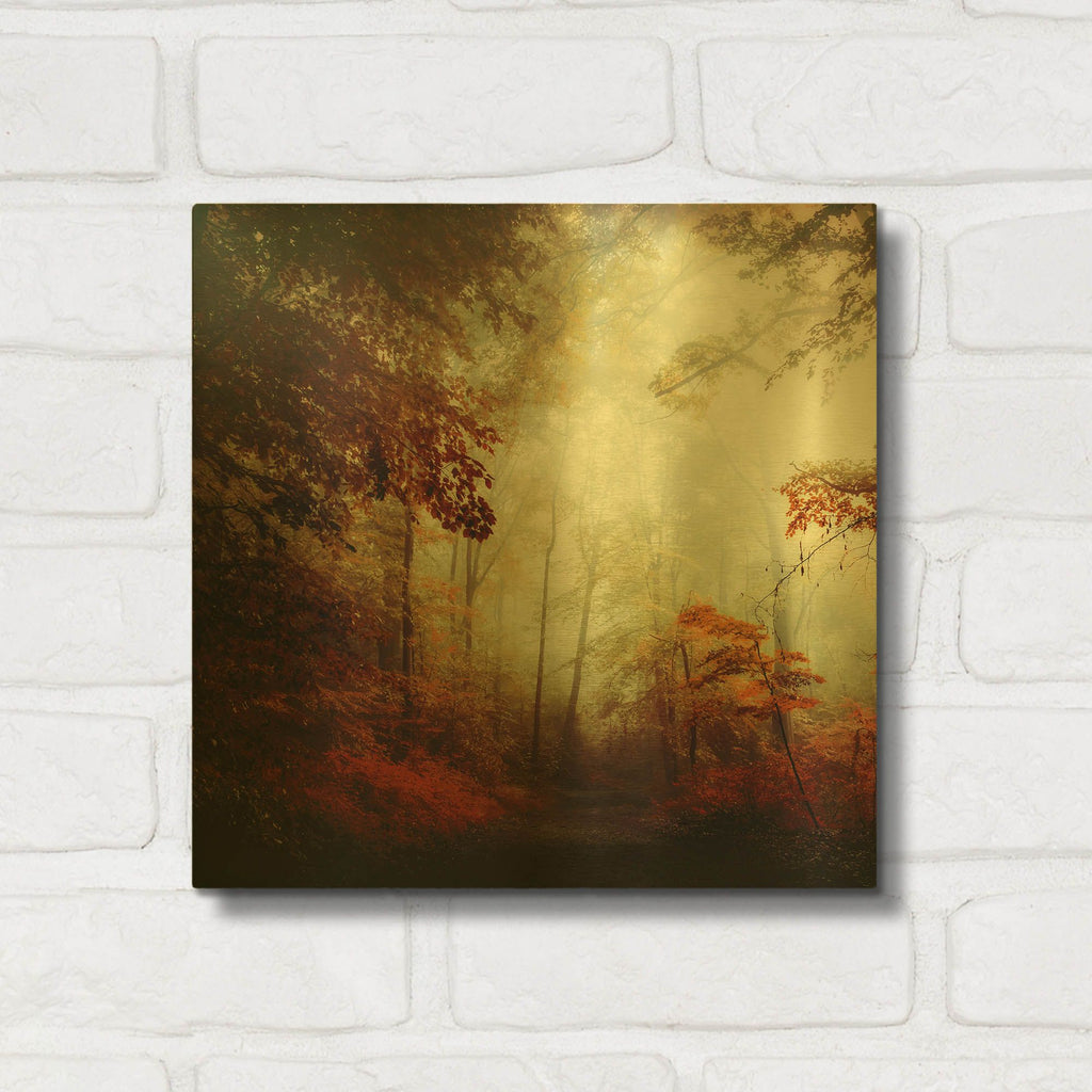 'That’s Not My Way' By Dirk Wustenhagen Gold Metal Wall Art