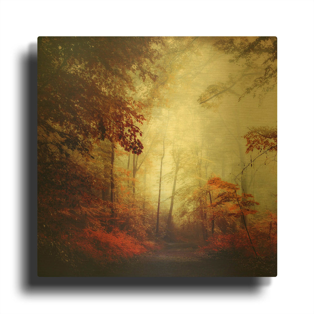 'That’s Not My Way' By Dirk Wustenhagen Gold Metal Wall Art