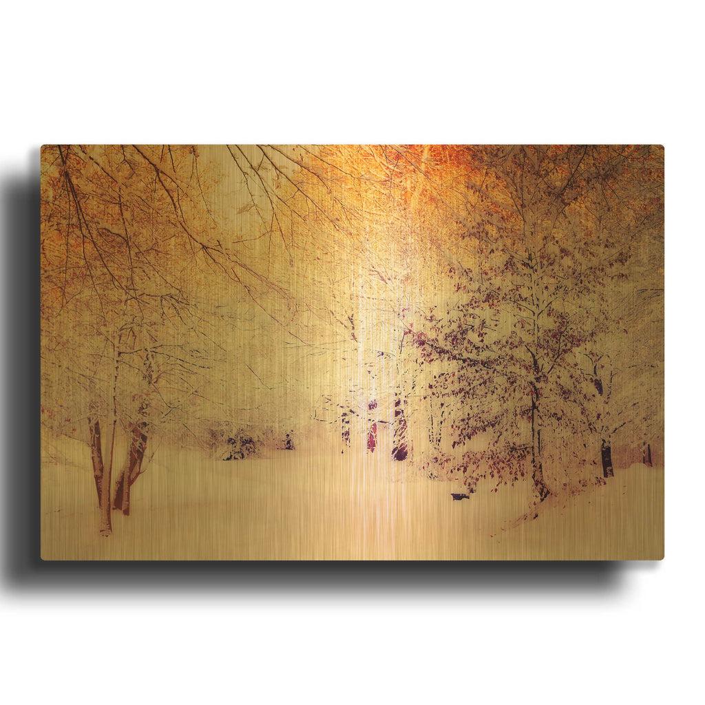 'Snowy Sunrise' By Dirk Wustenhagen Gold Metal Wall Art