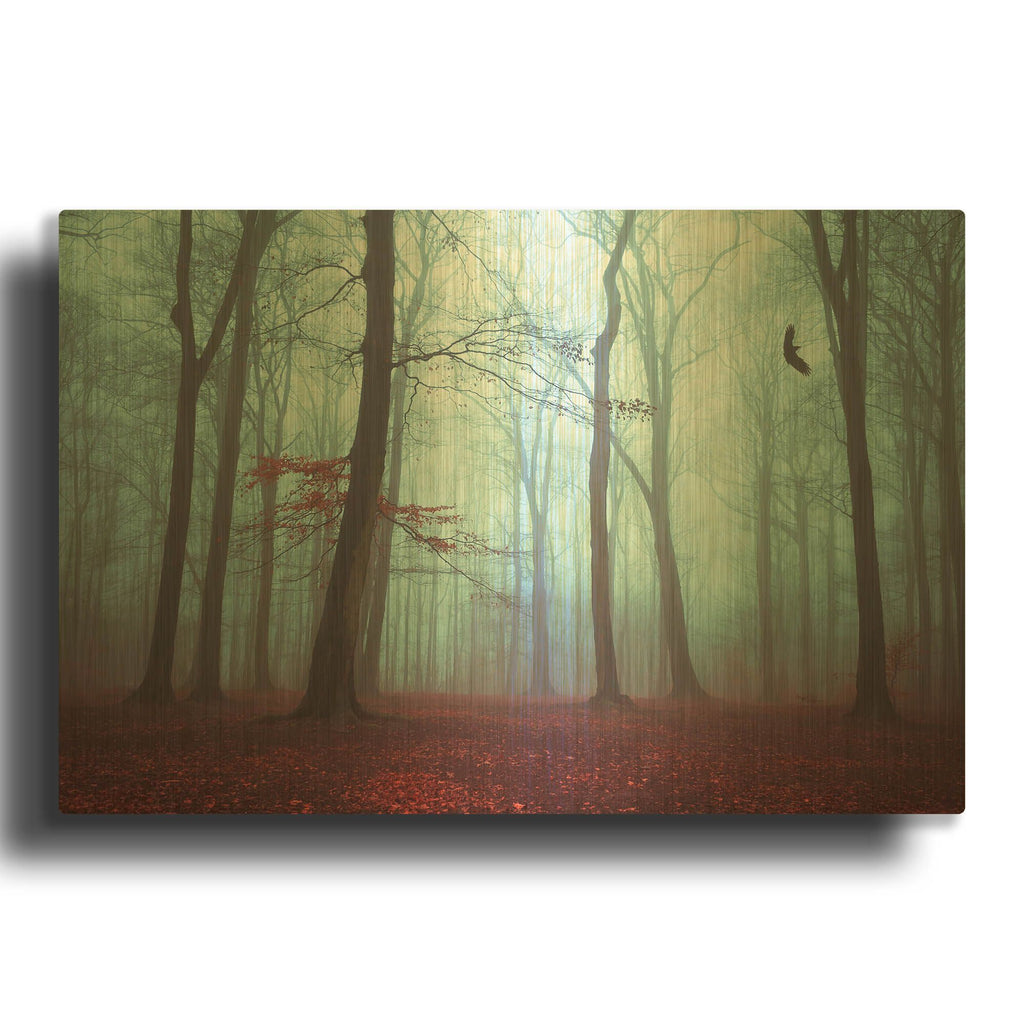 'Solstice in Fog' By Dirk Wustenhagen Gold Metal Wall Art
