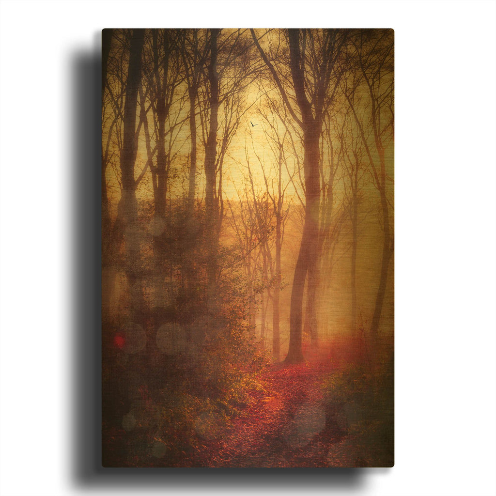 'Seasons Light' By Dirk Wustenhagen Gold Metal Wall Art