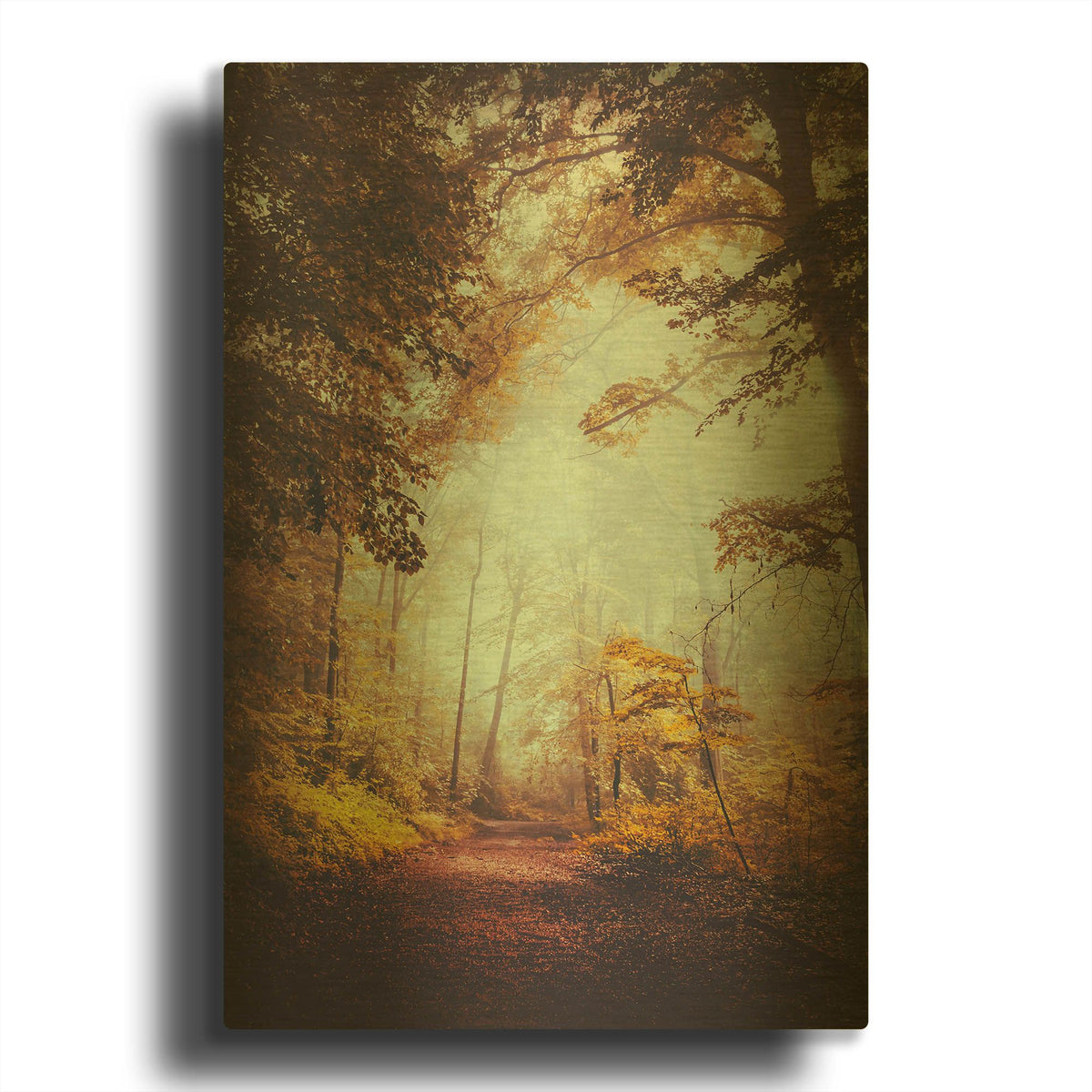 'Silent Forest' By Dirk Wustenhagen Gold Metal Wall Art
