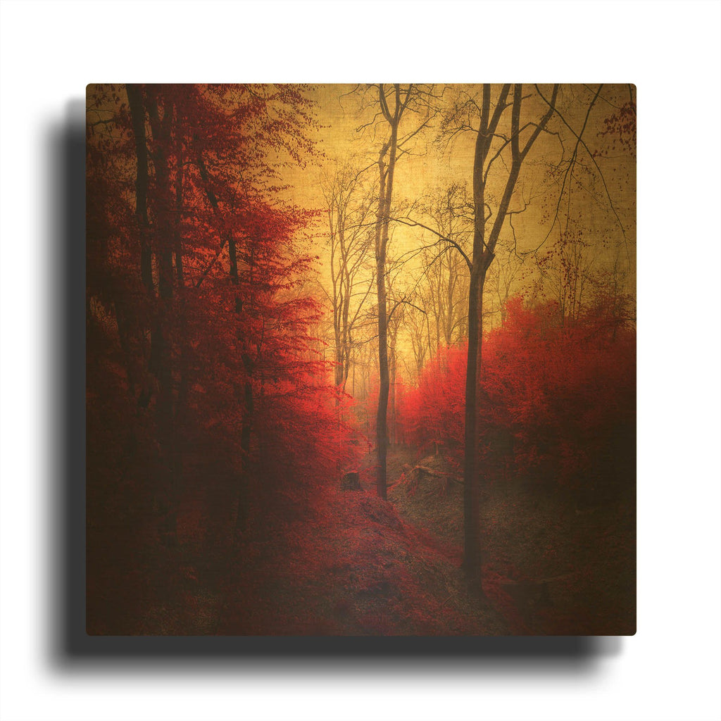 'Ruby Red Forest' By Dirk Wustenhagen Gold Metal Wall Art