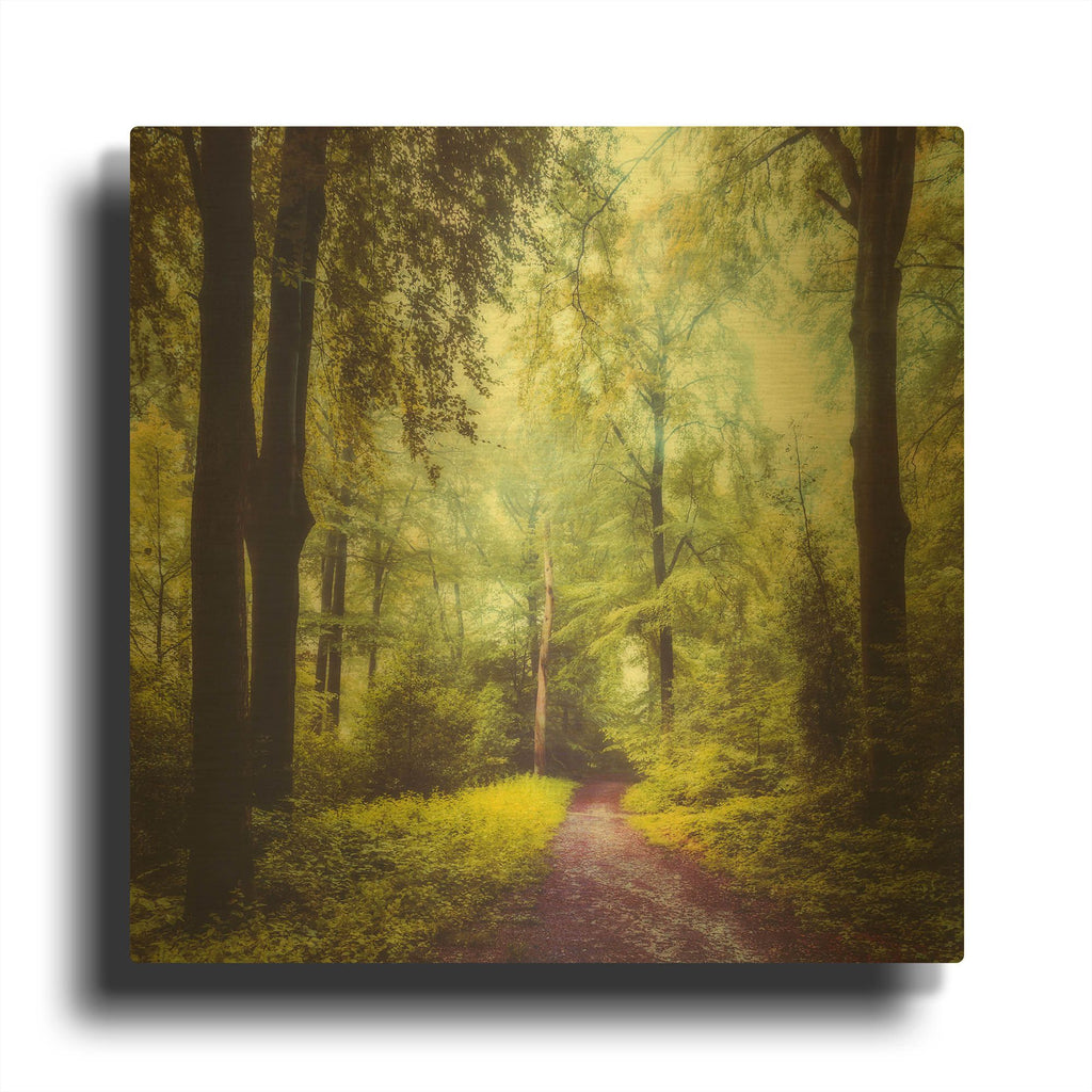 'Never the Same Again' By Dirk Wustenhagen Gold Metal Wall Art