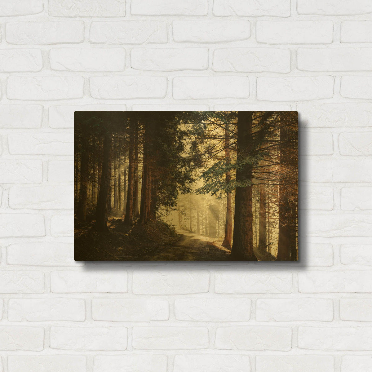 'Light Magic' By Dirk Wustenhagen Gold Metal Wall Art