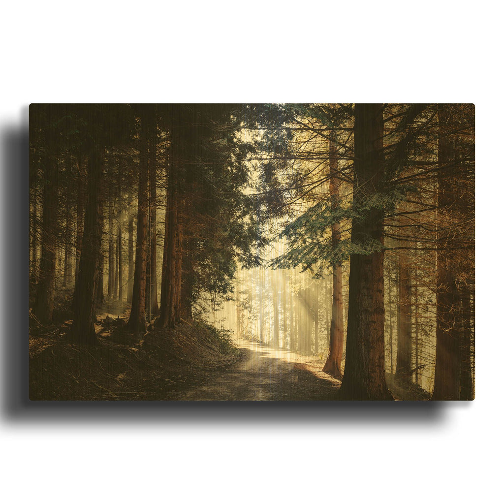 'Light Magic' By Dirk Wustenhagen Gold Metal Wall Art