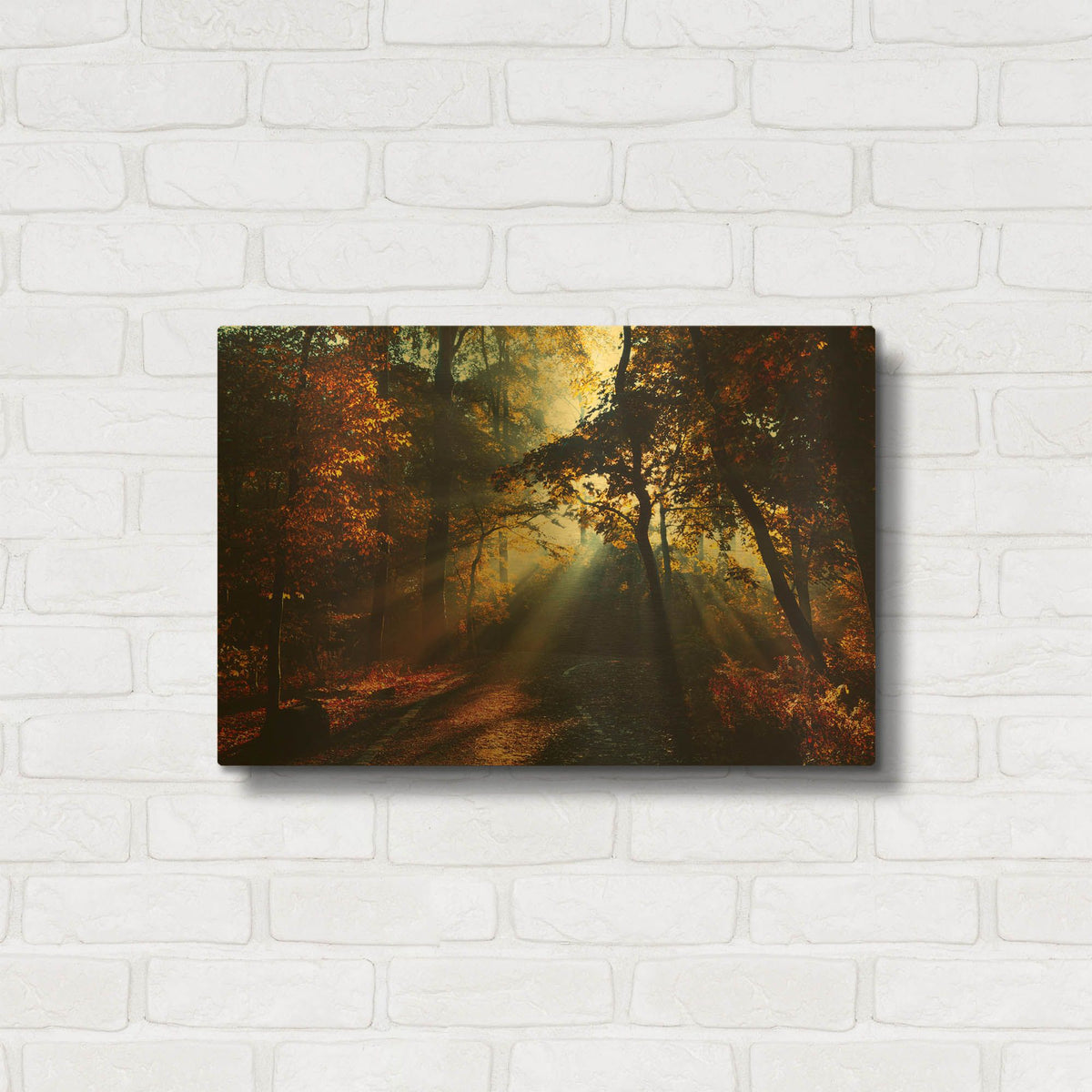 'Magic Forest Light' By Dirk Wustenhagen Gold Metal Wall Art